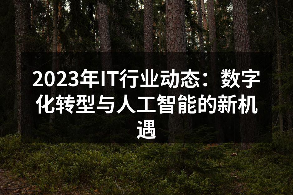 2023年IT行业动态：数字化转型与人工