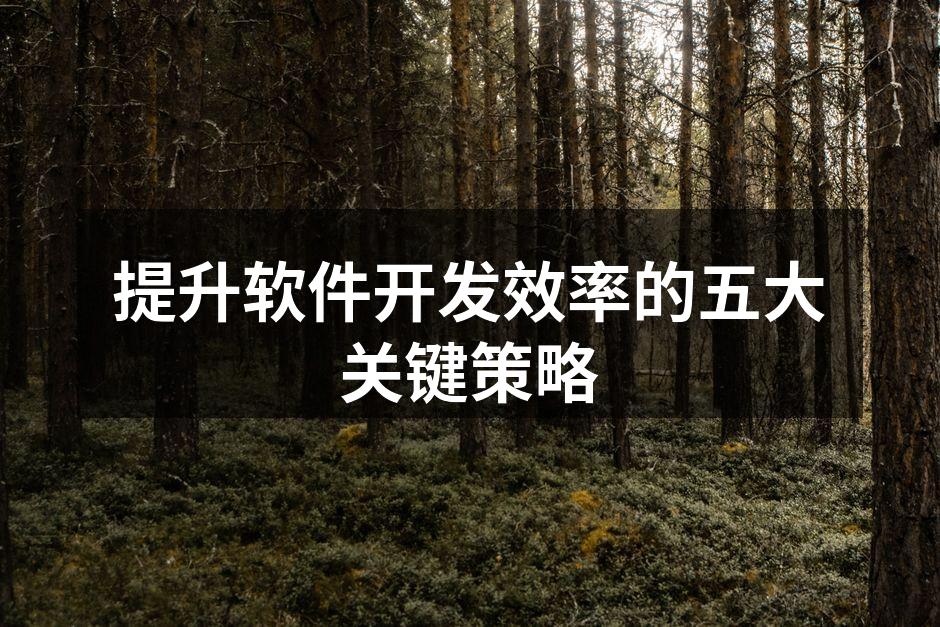 提升软件开发效率的五大关键策略