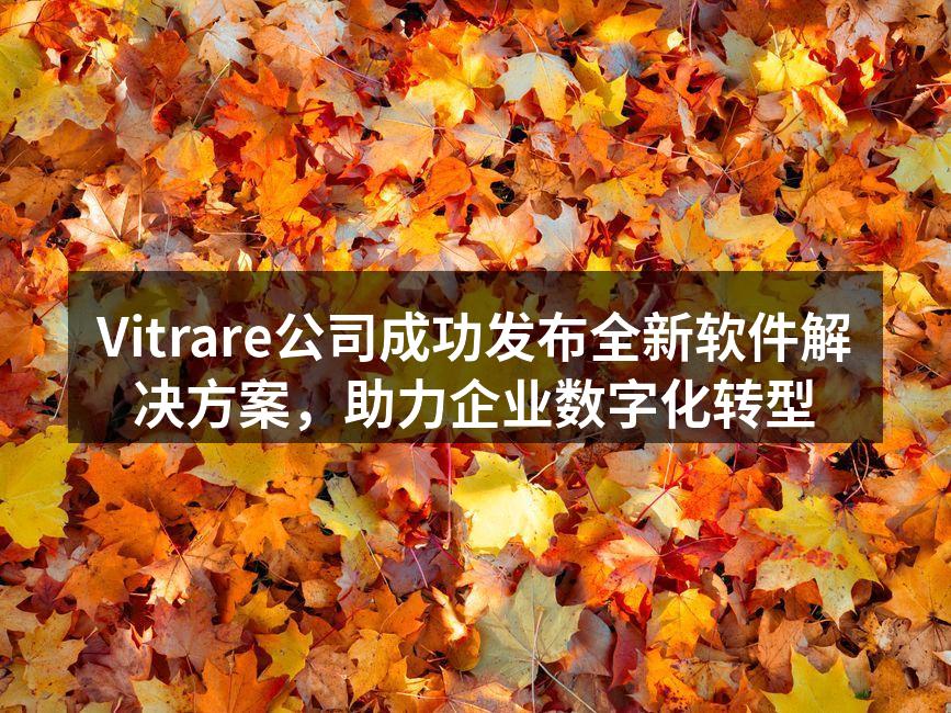 Vitrare公司成功发布全新软件解决方案,助力企业数字化转型
